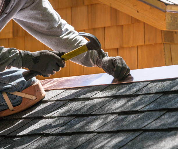Best Roof Gutter Cleaning  in Newport East, RI